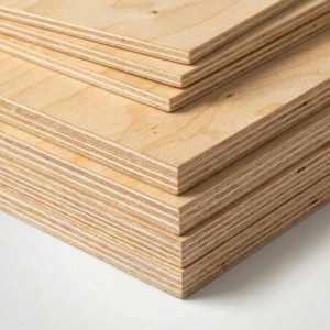Underlayment Elliottis